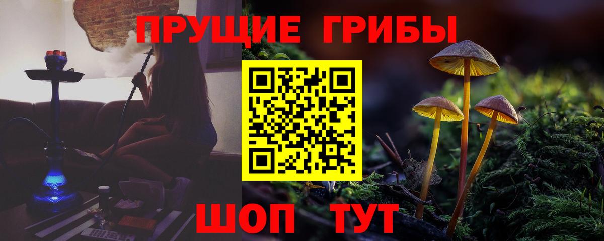 Галлюциногенные грибы Psilocybe  Вход с VPN  Псилоцибиновые грибы ЛСД  Кирово-Чепецк 